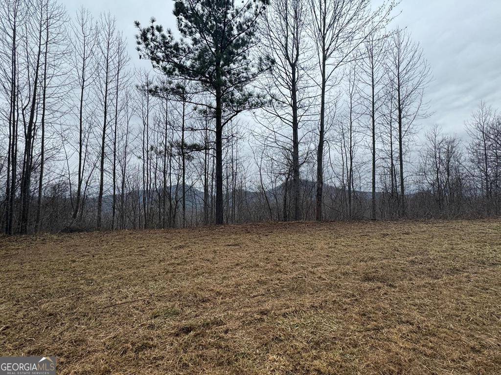 Young Harris, GA 30582,LOT 10 Chatuge Manor DR