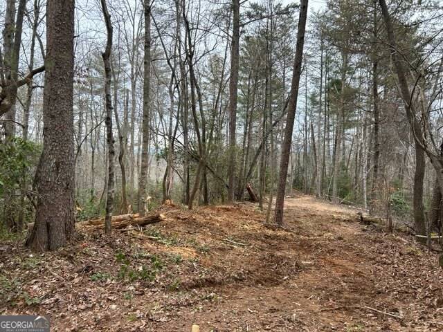 Dahlonega, GA 30533,LOT 2 Pine Rd