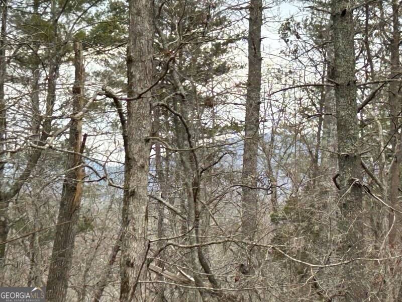 Dahlonega, GA 30533,LOT 2 Pine RD