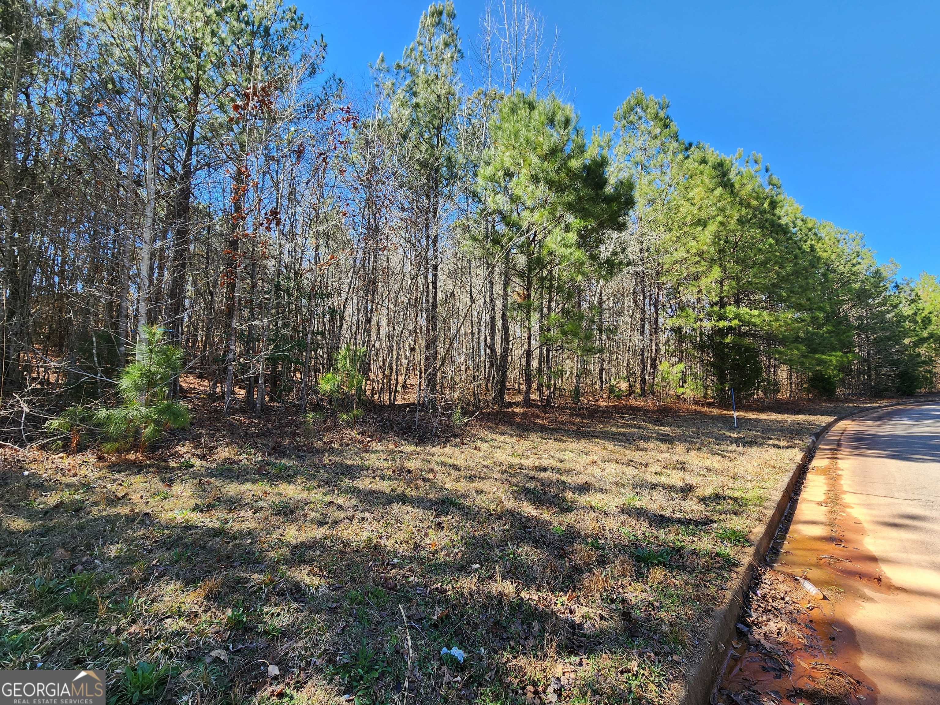 Flovilla, GA 30216,LOT 63 Beaty