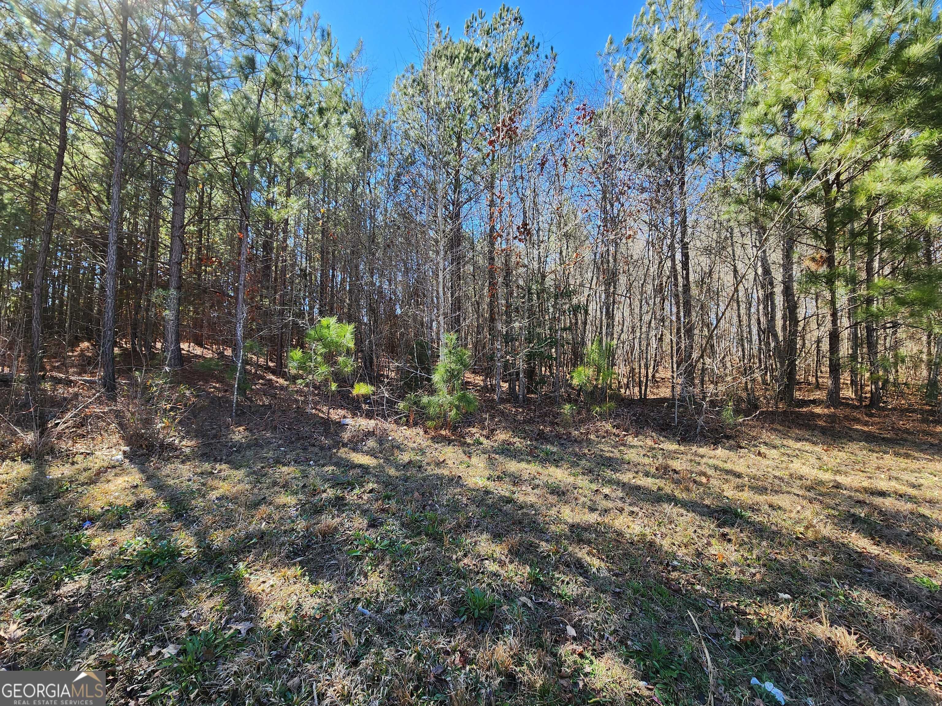 Flovilla, GA 30216,LOT 63 Beaty