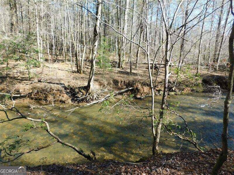 Dahlonega, GA 30533,0 Woodland Lane Tract 2