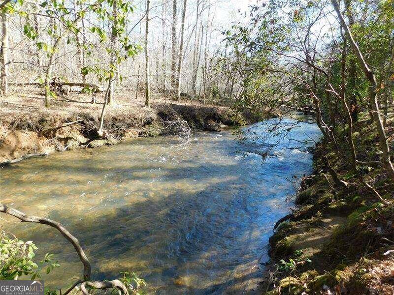 Dahlonega, GA 30533,0 Woodland Lane Tract 2