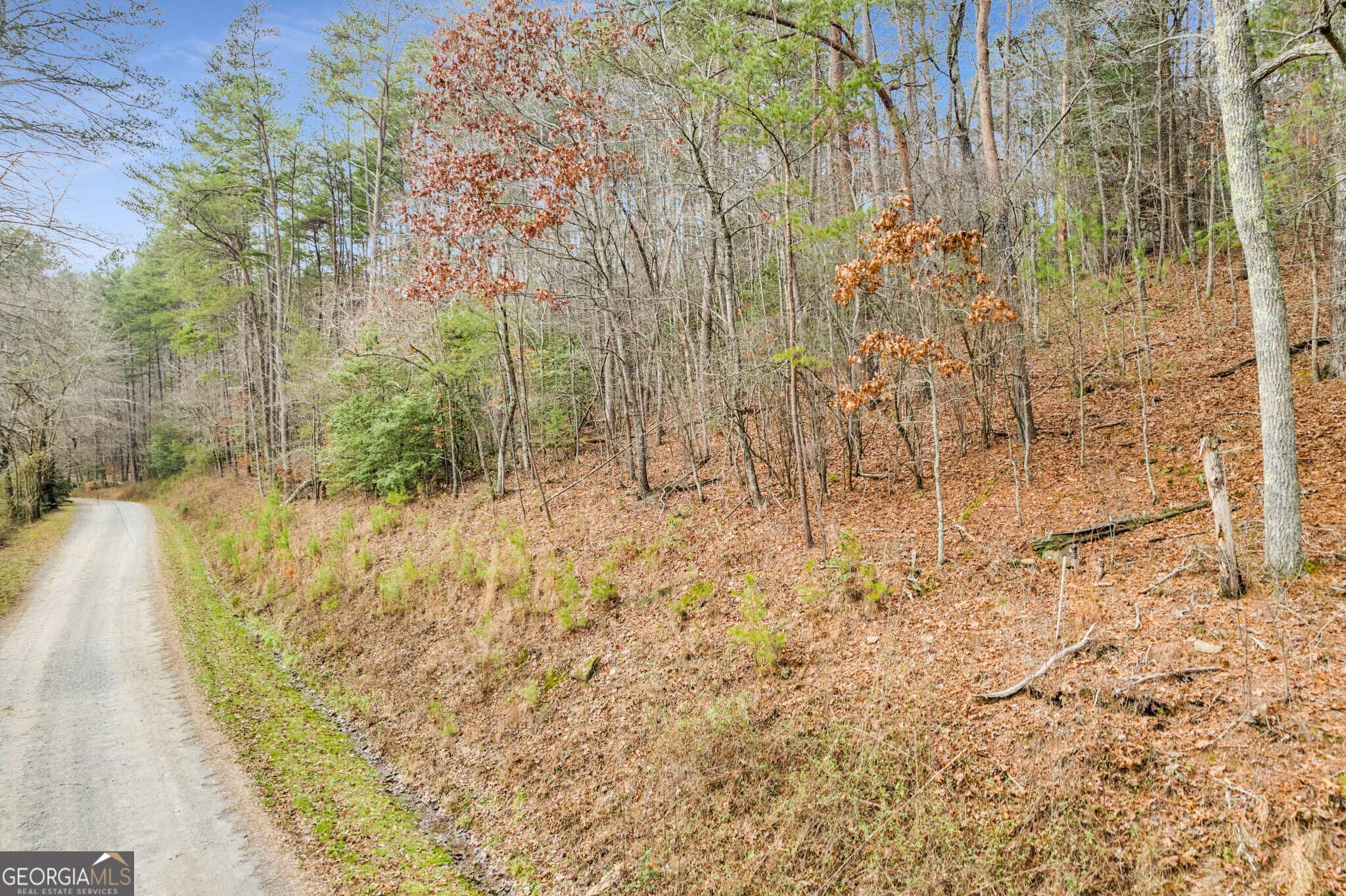 Ellijay, GA 30536,LOT 11 Possum Poke