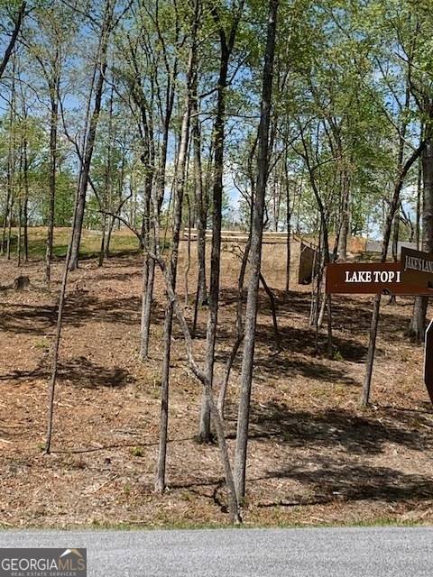 Ellijay, GA 30540,LOT #6 S Jakes Landing