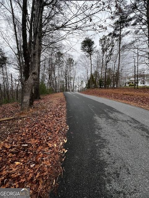 Ellijay, GA 30540,LOT 156 Etowah