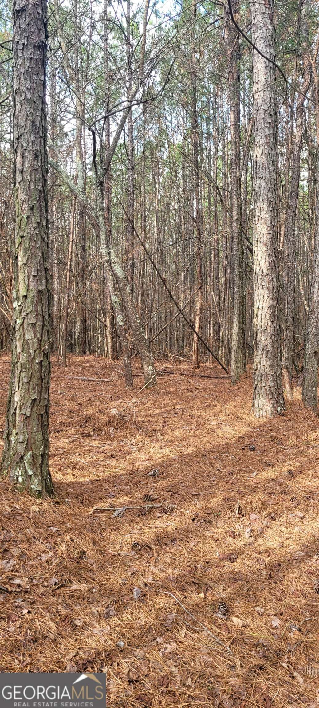 Rome, GA 30165,0 Albert AVE