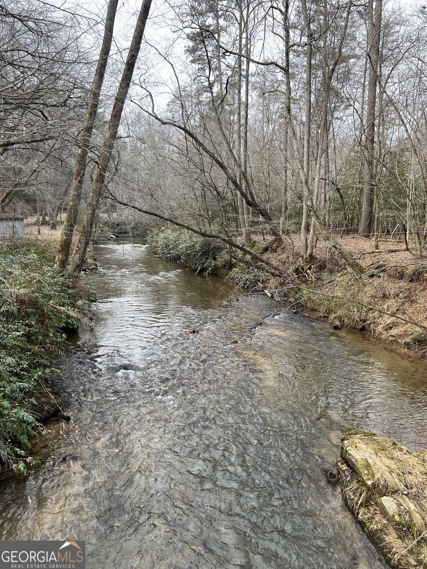 Cleveland, GA 30528,1402 Blackburn RD