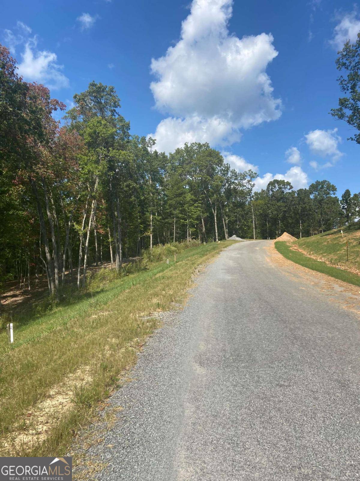 Morganton, GA 30560,LOT 41 Ridge Drive