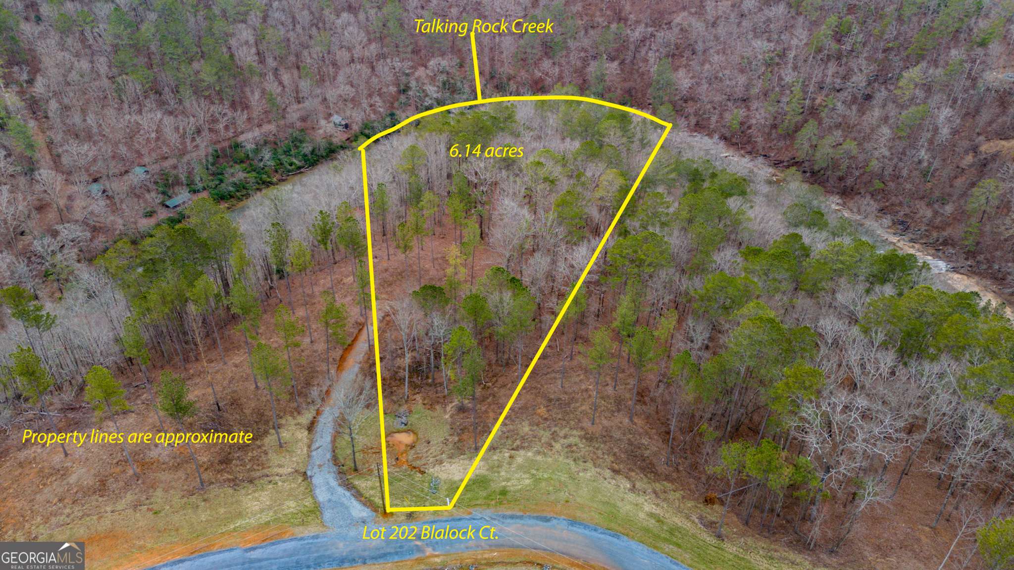 Ellijay, GA 30540,LOT 202 Blalock Mountain