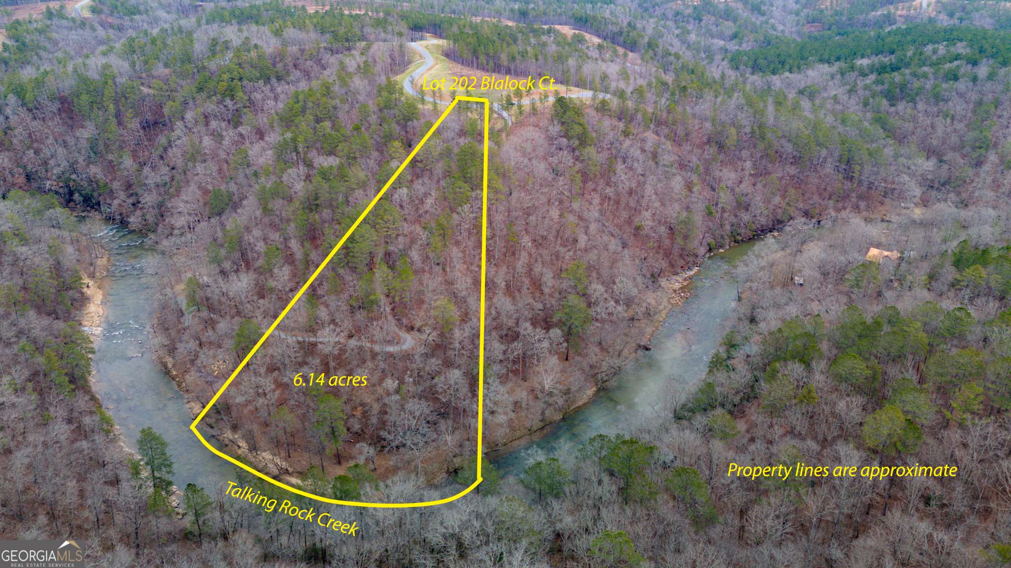 Ellijay, GA 30540,LOT 202 Blalock Mountain