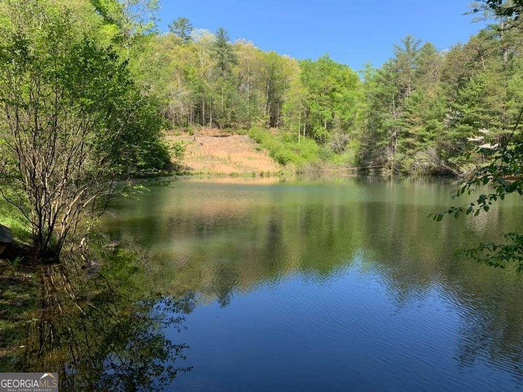 Cherry Log, GA 30522,1293 Hidden Lake