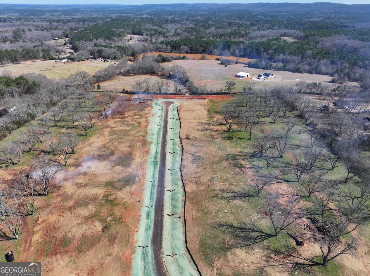 Pine Mountain, GA 31822,LOT 17 Chinaberry