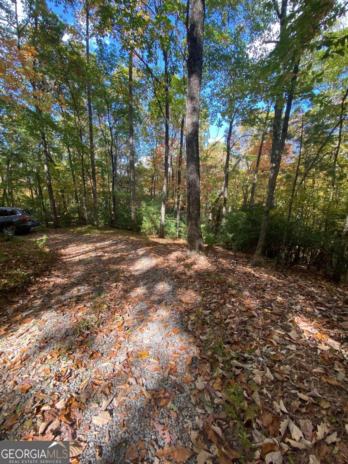 East Ellijay, GA 30540,G-81 Ridge View