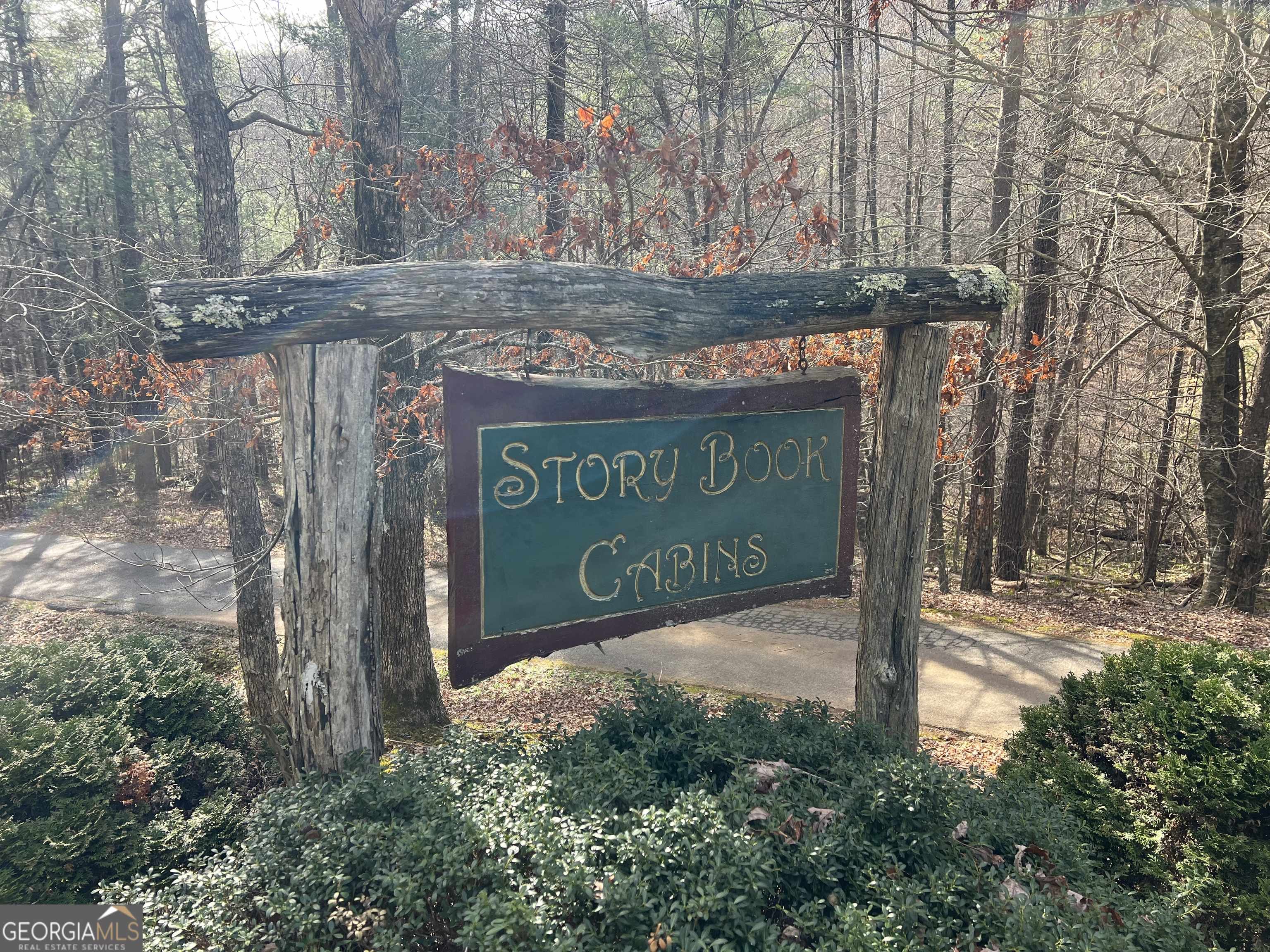 Blairsville, GA 30512,02.17AC LOT 11 Choestoe TRL