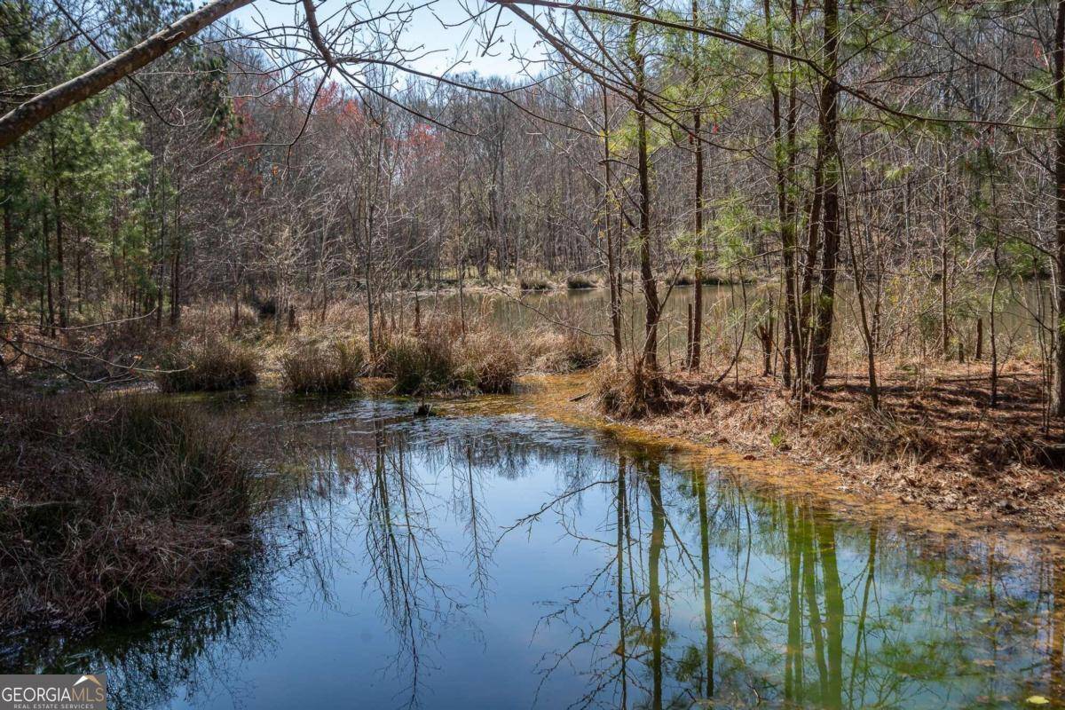 Athens, GA 30601,495 Boley DR