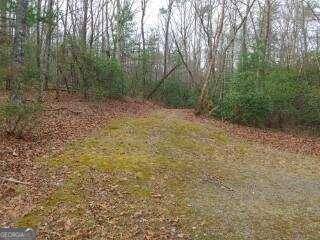 Ellijay, GA 30536,LOT 28 Chimney