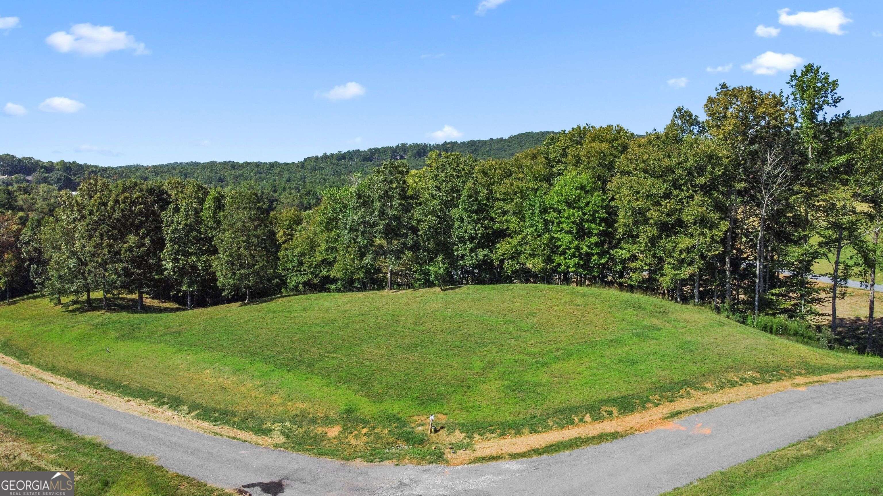 Morganton, GA 30560,LOT 68 Hillside