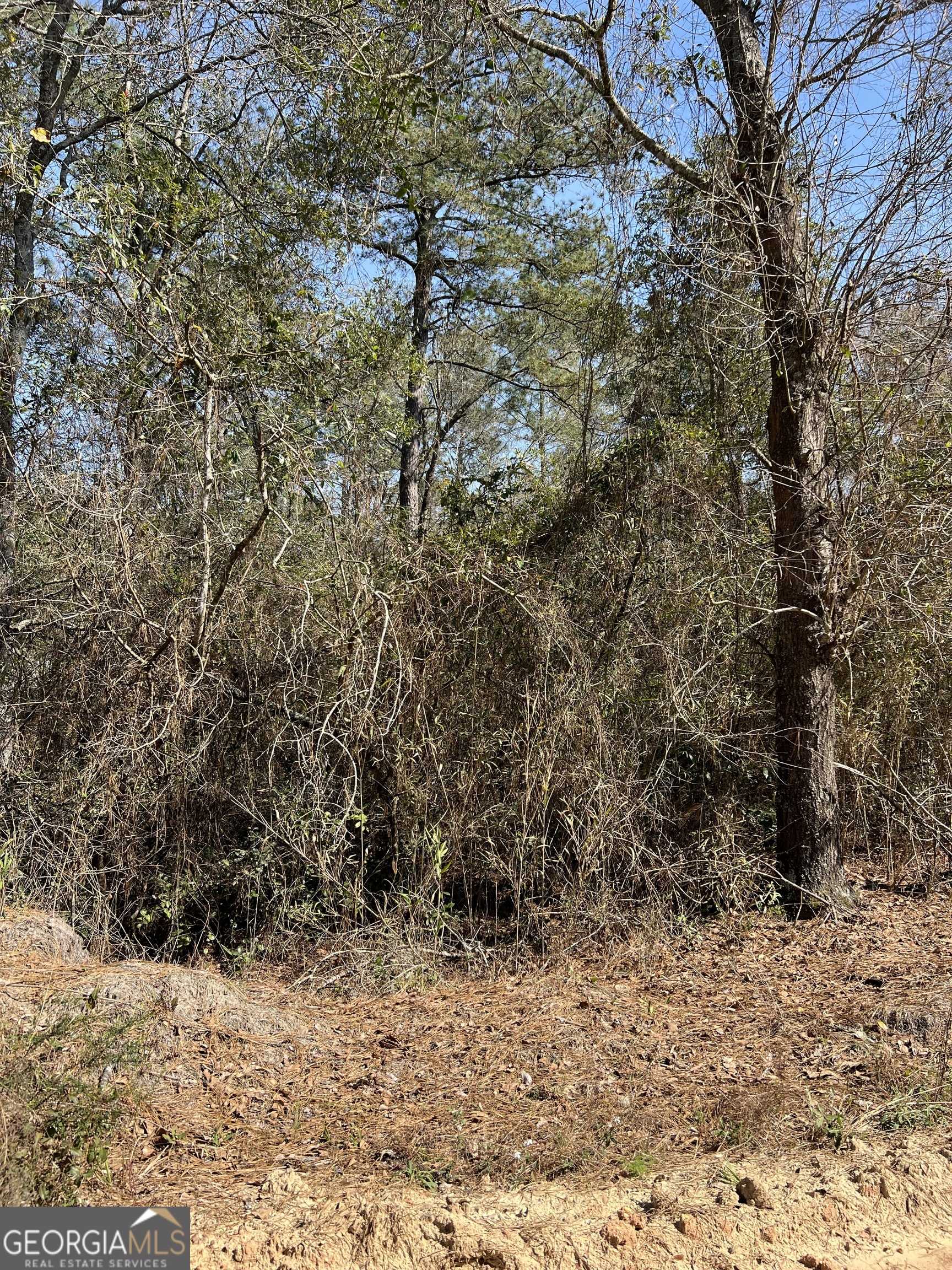 Reidsville, GA 30453,559 Brookside DR