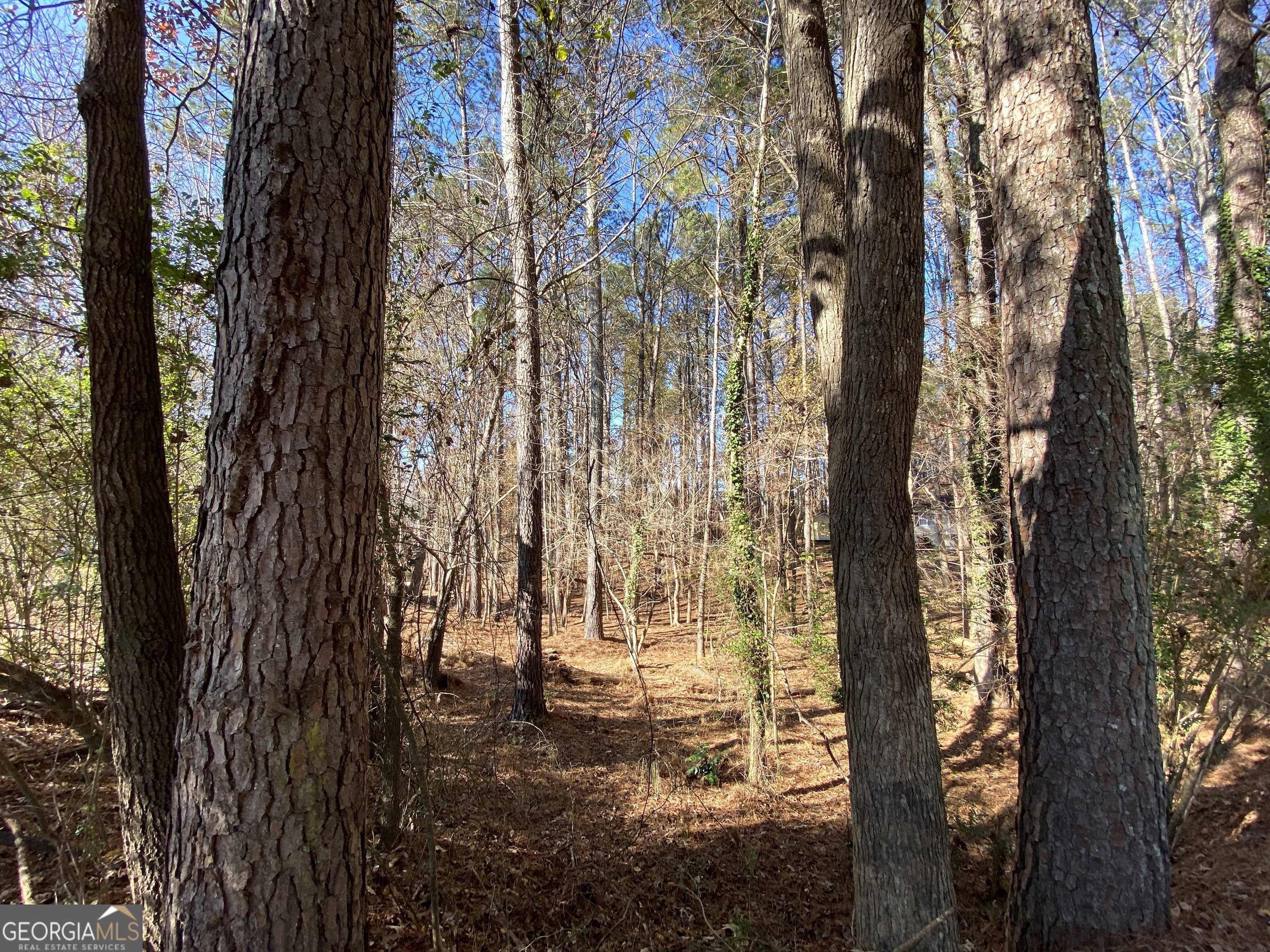 Woodstock, GA 30189,0 Black Oak TRL
