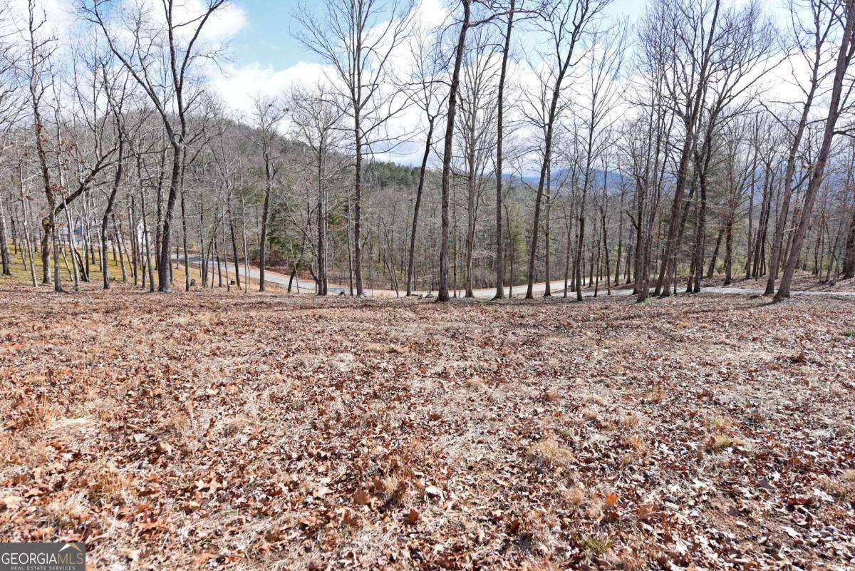 Blairsville, GA 30512,LOT 98 The Hills At Queens Gap