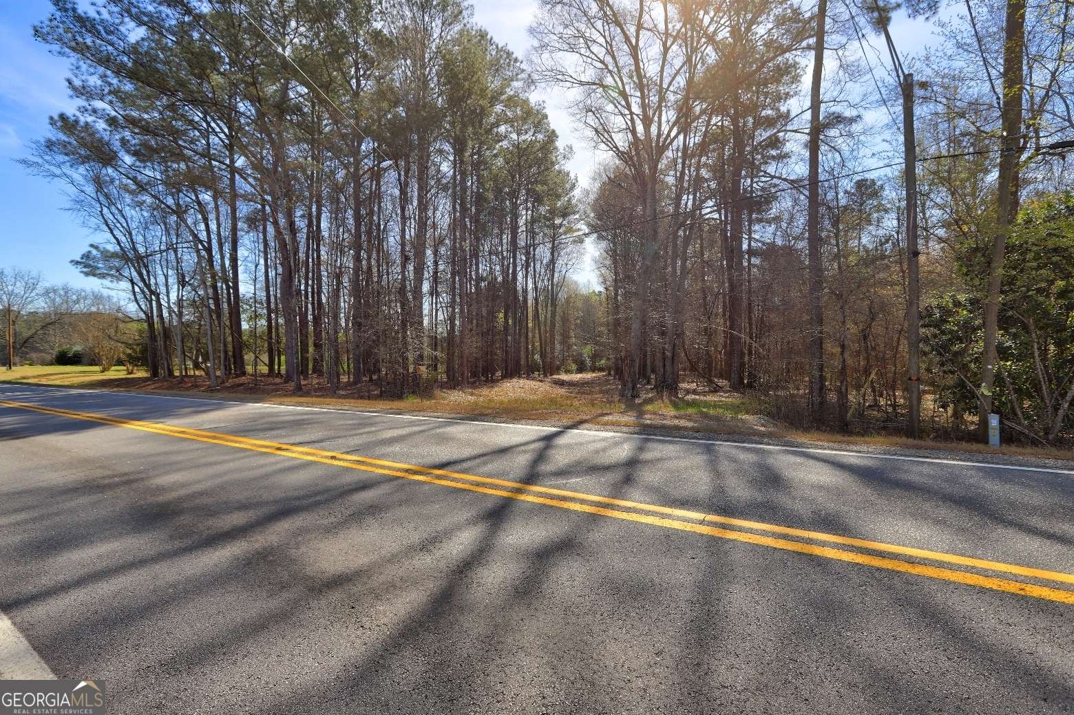 Good Hope, GA 30641,205 Highway 186 TRACT 1