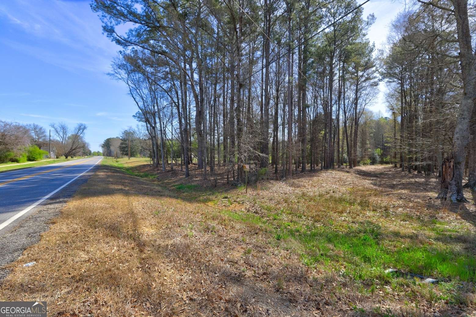 Good Hope, GA 30641,205 Highway 186 TRACT 1