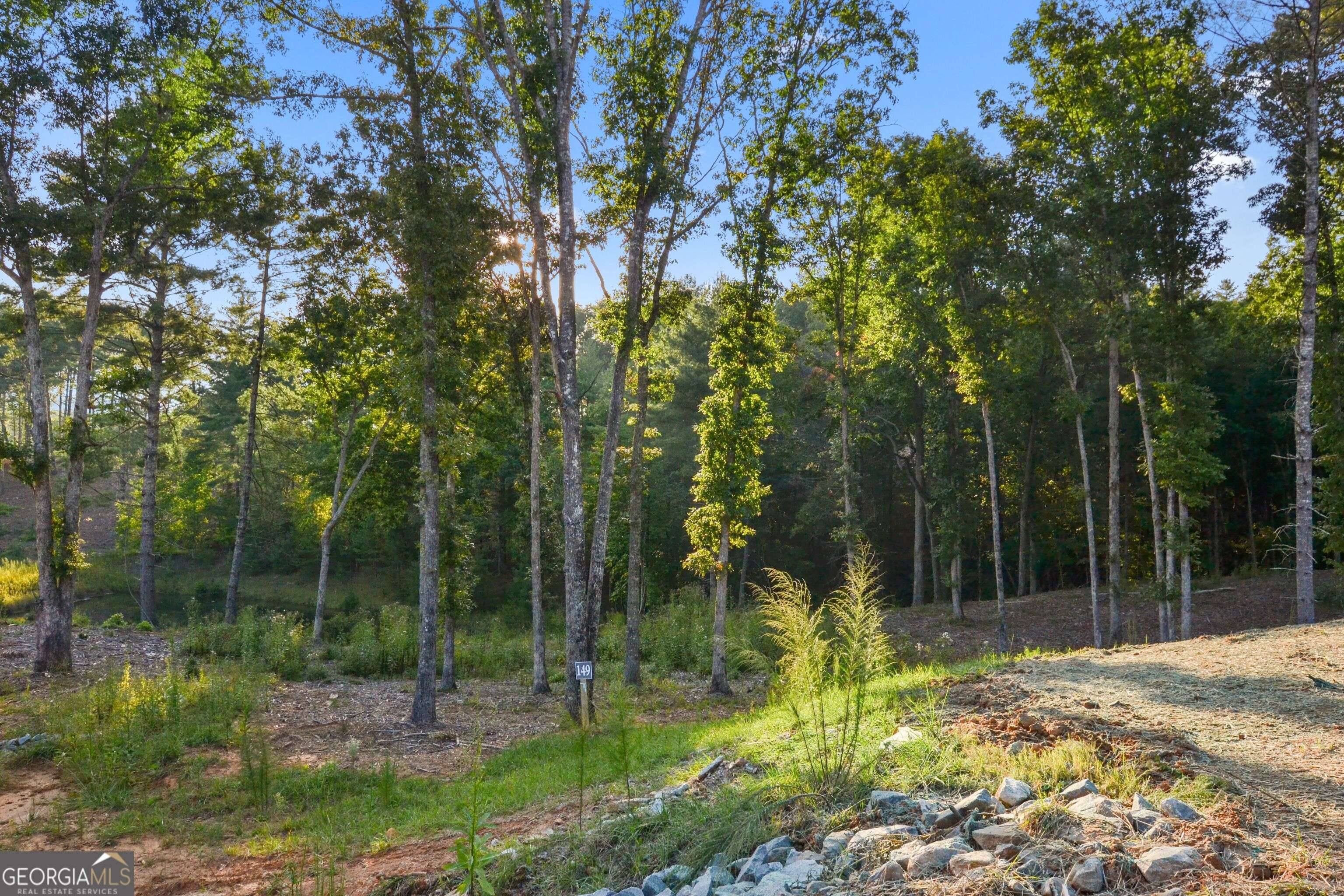 Morganton, GA 30560,LOT 149 Hideout