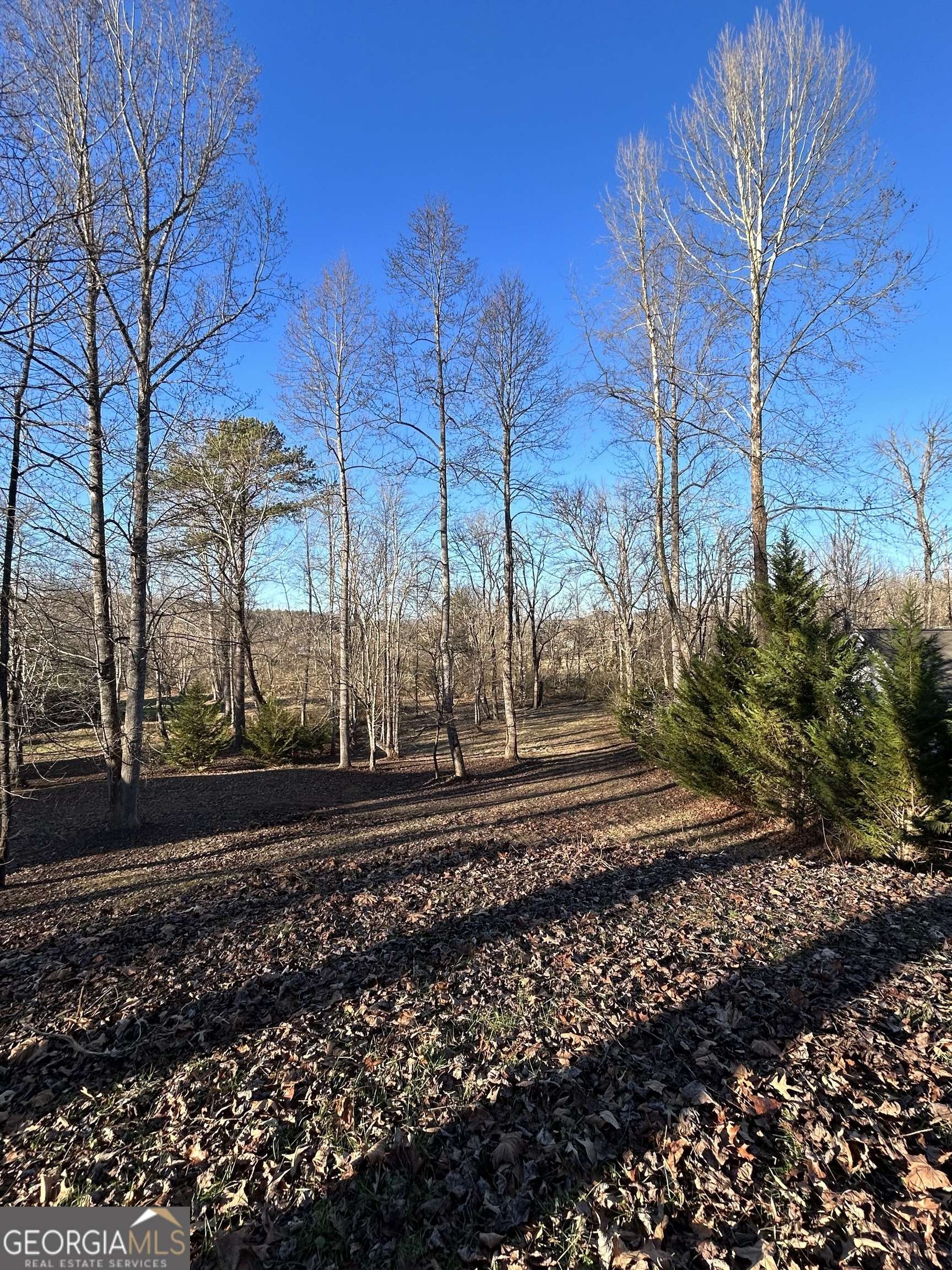 Young Harris, GA 30582,LOT 11 Willow Springs Rd