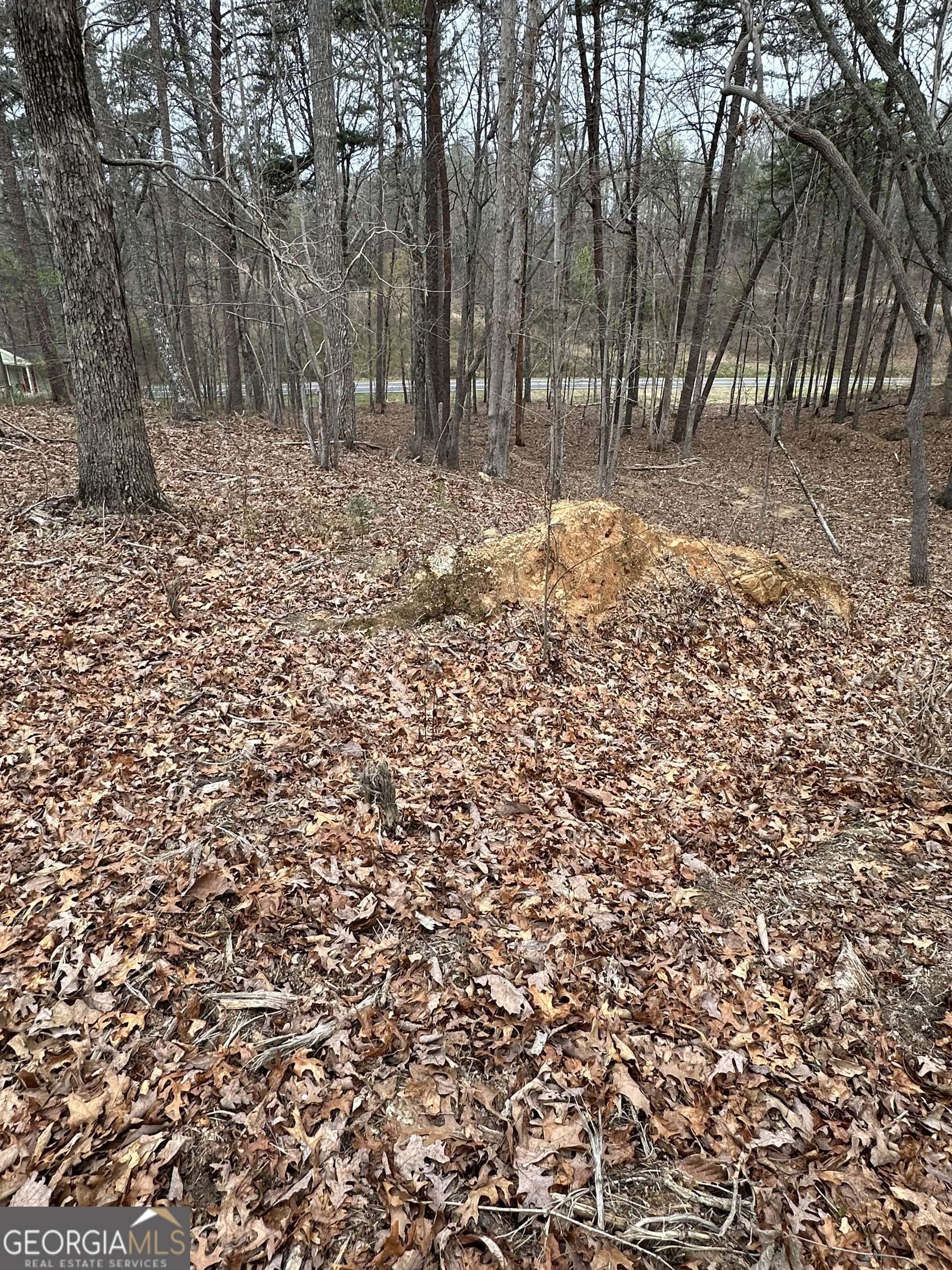 Cleveland, GA 30528,LOT 2 Teel Mountain