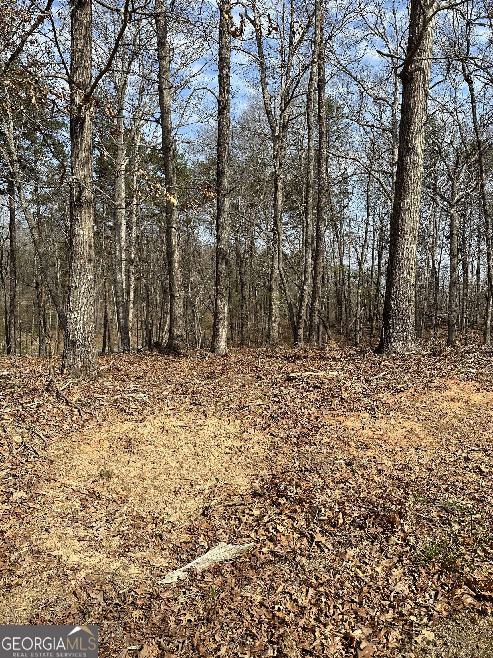 Cleveland, GA 30528,LOT 2 Teel Mountain