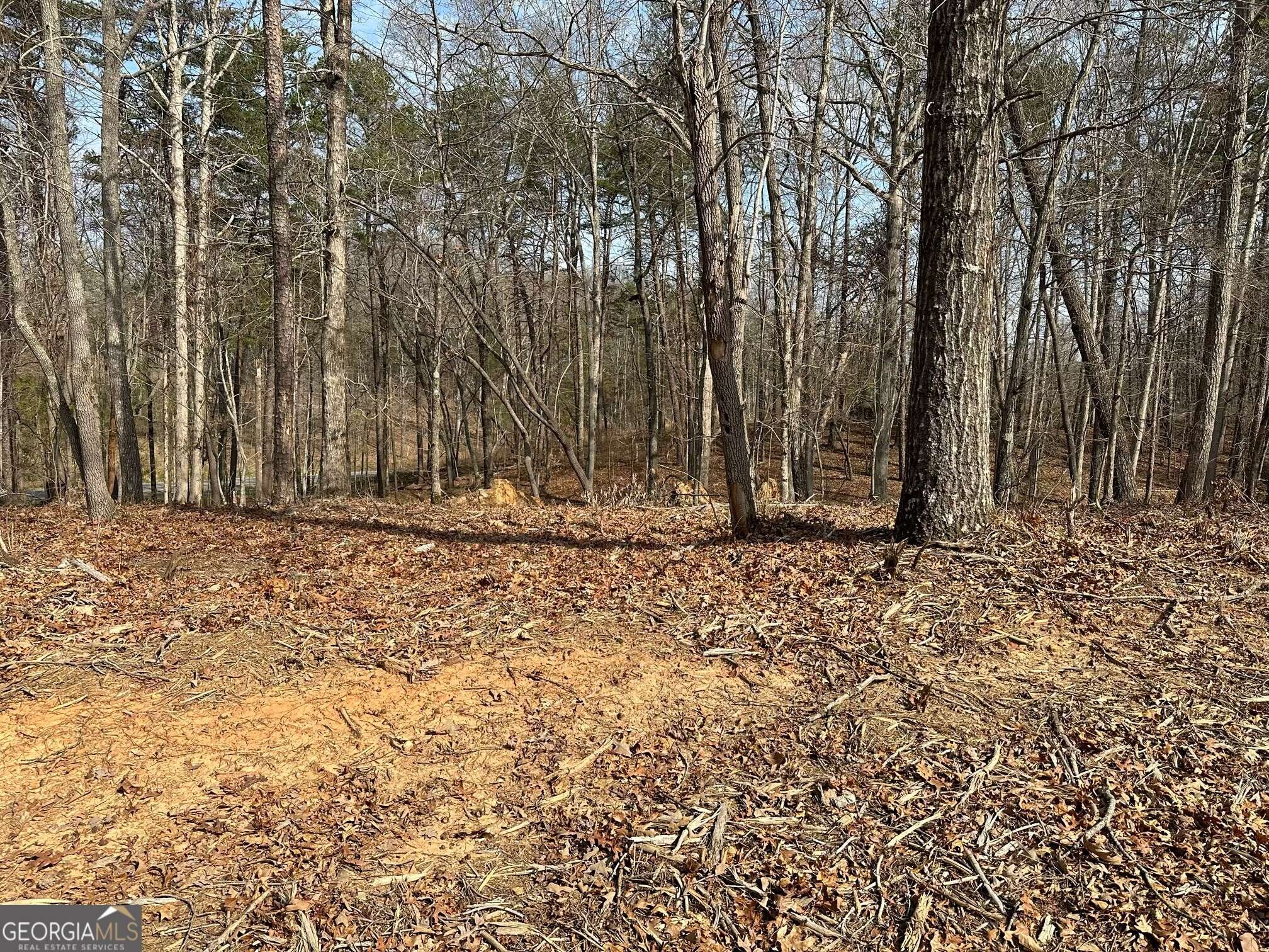 Cleveland, GA 30528,LOT 2 Teel Mountain