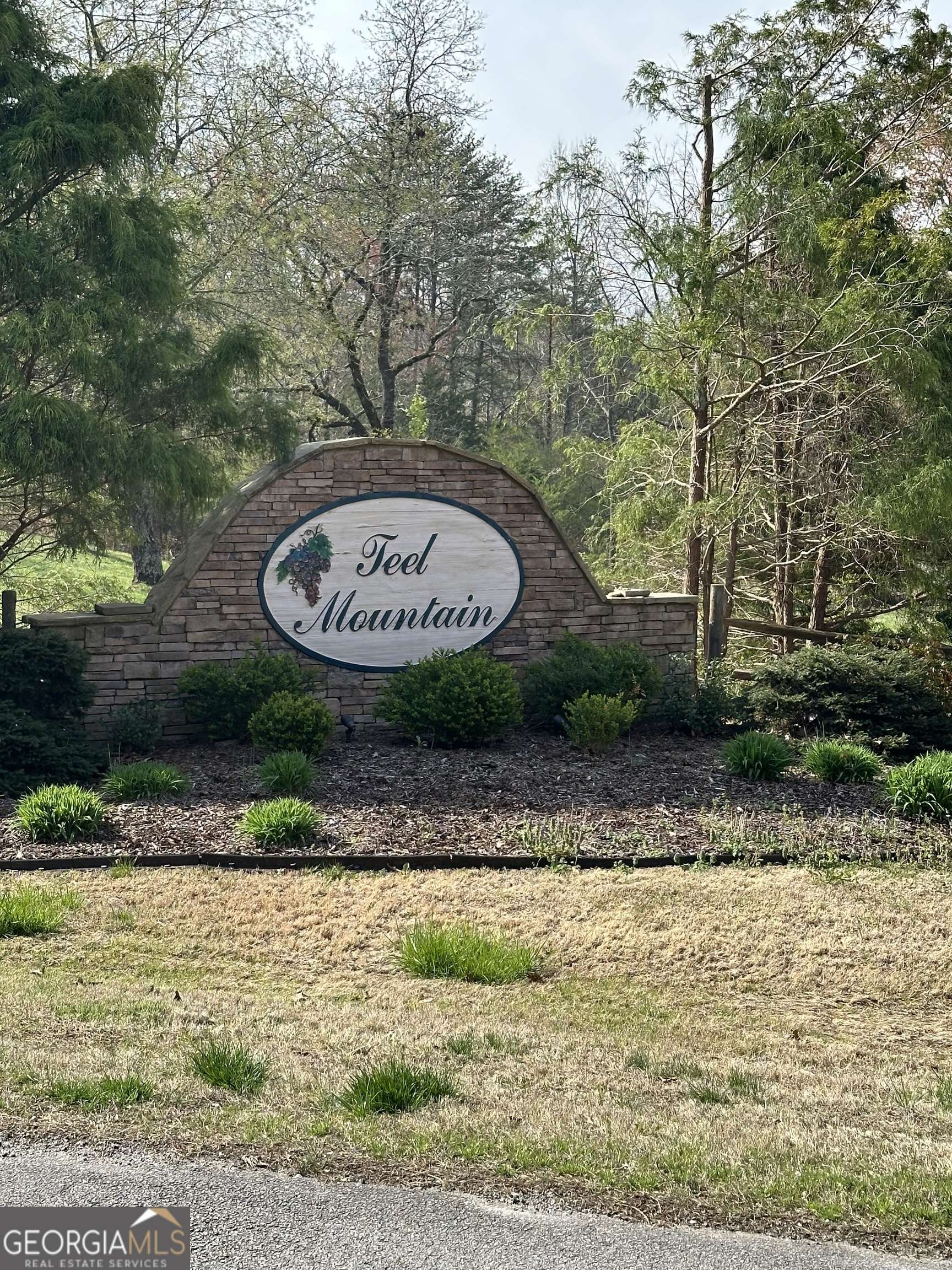 Cleveland, GA 30528,LOT 2 Teel Mountain