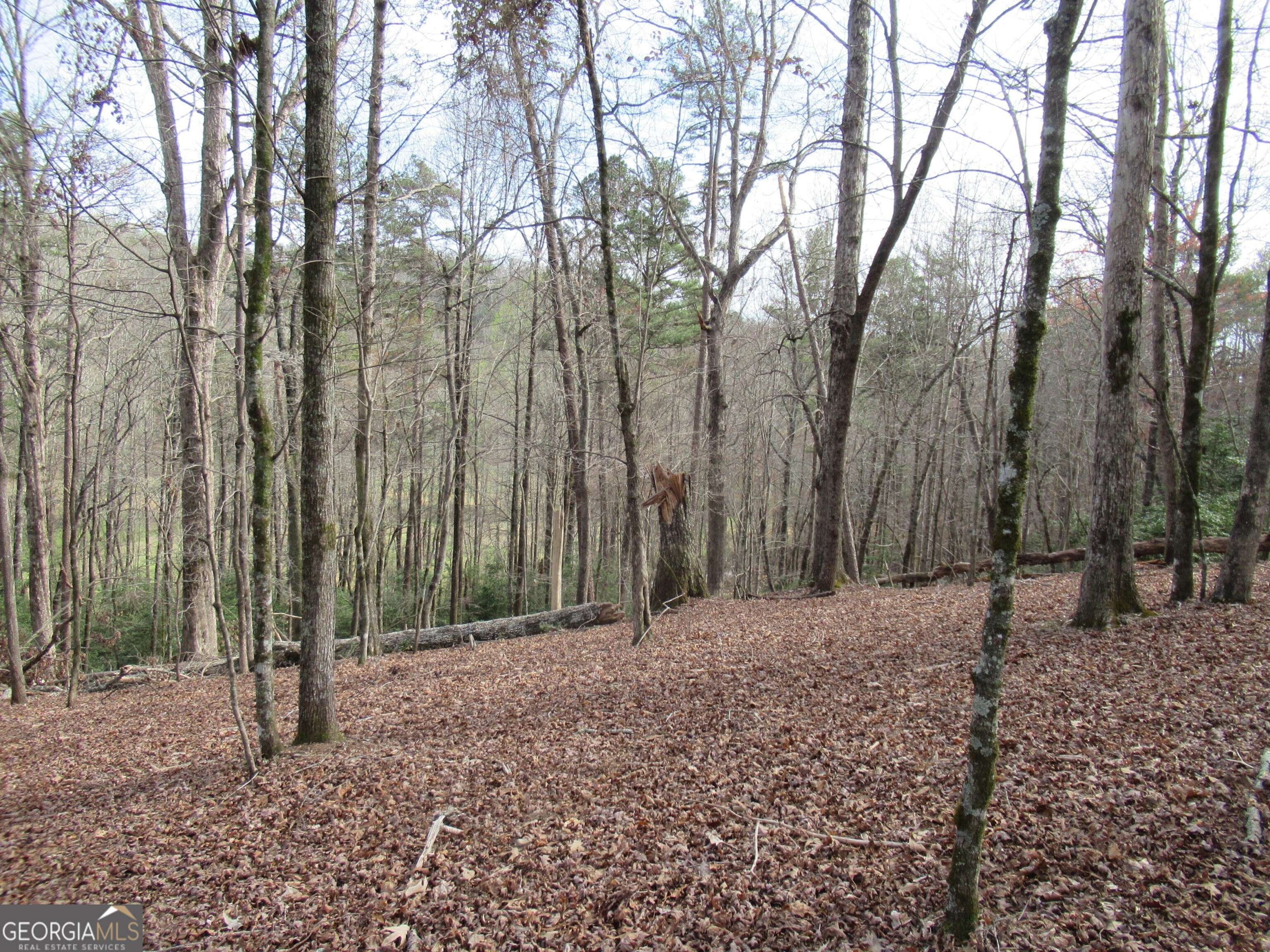 Dahlonega, GA 30533,0 Long Branch RD