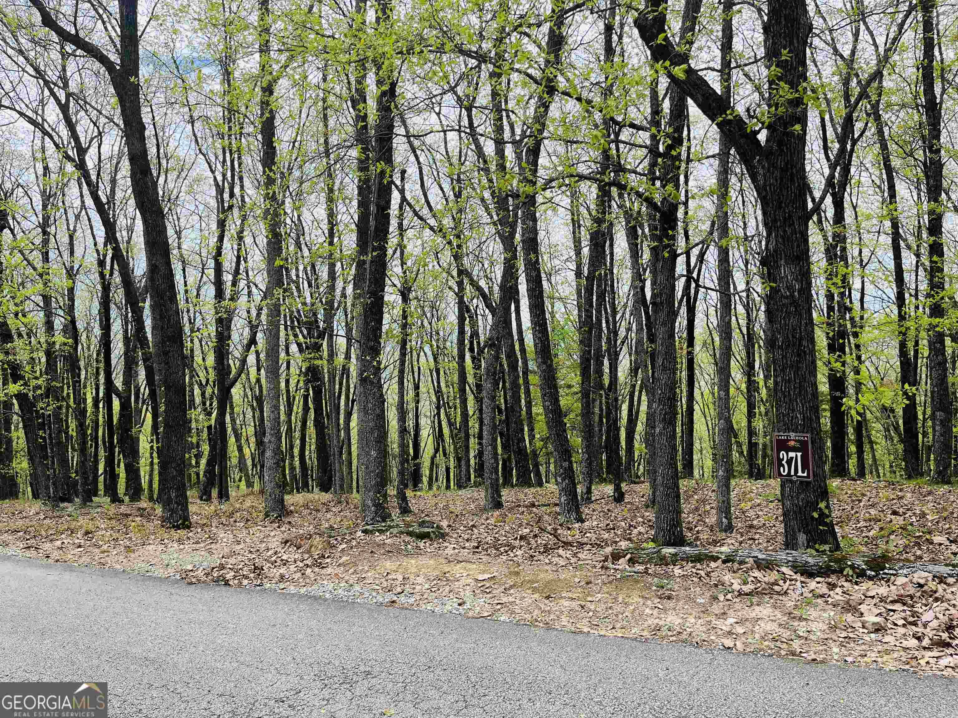 Cleveland, GA 30528,0 Mountainside Drive - Lot 37