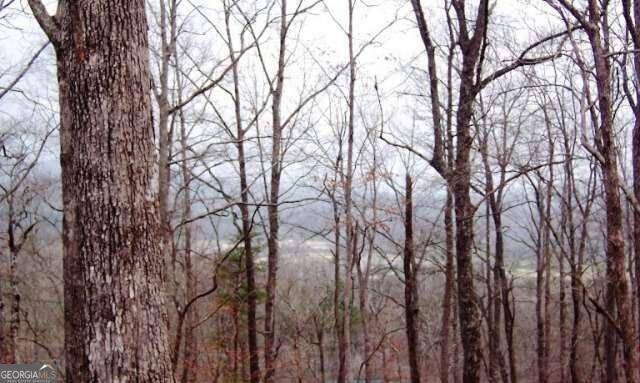 Young Harris, GA 30582,LOT 65 Timberline Acres