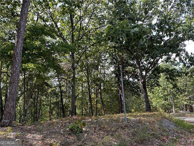 Ranger, GA 30734,264 Stirratt RD