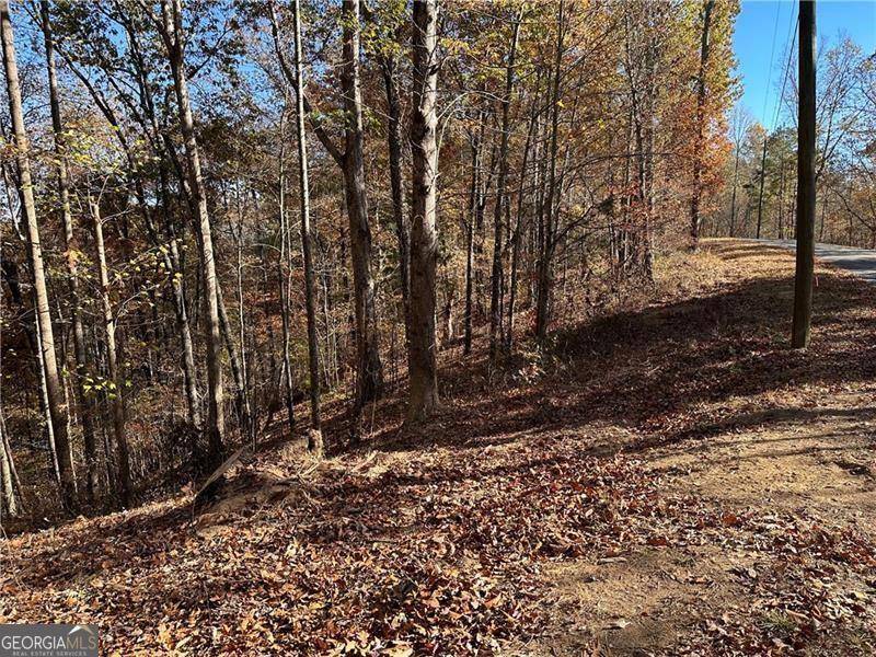 Ranger, GA 30734,108 Adair DR