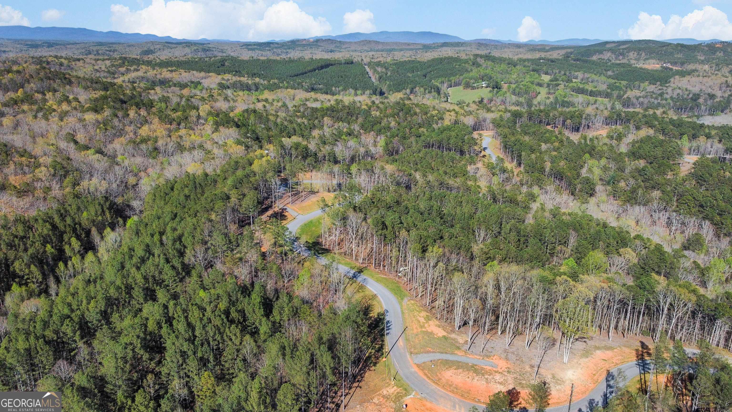 Talking Rock, GA 30175,LOT 103 Blalock Mountain Rd