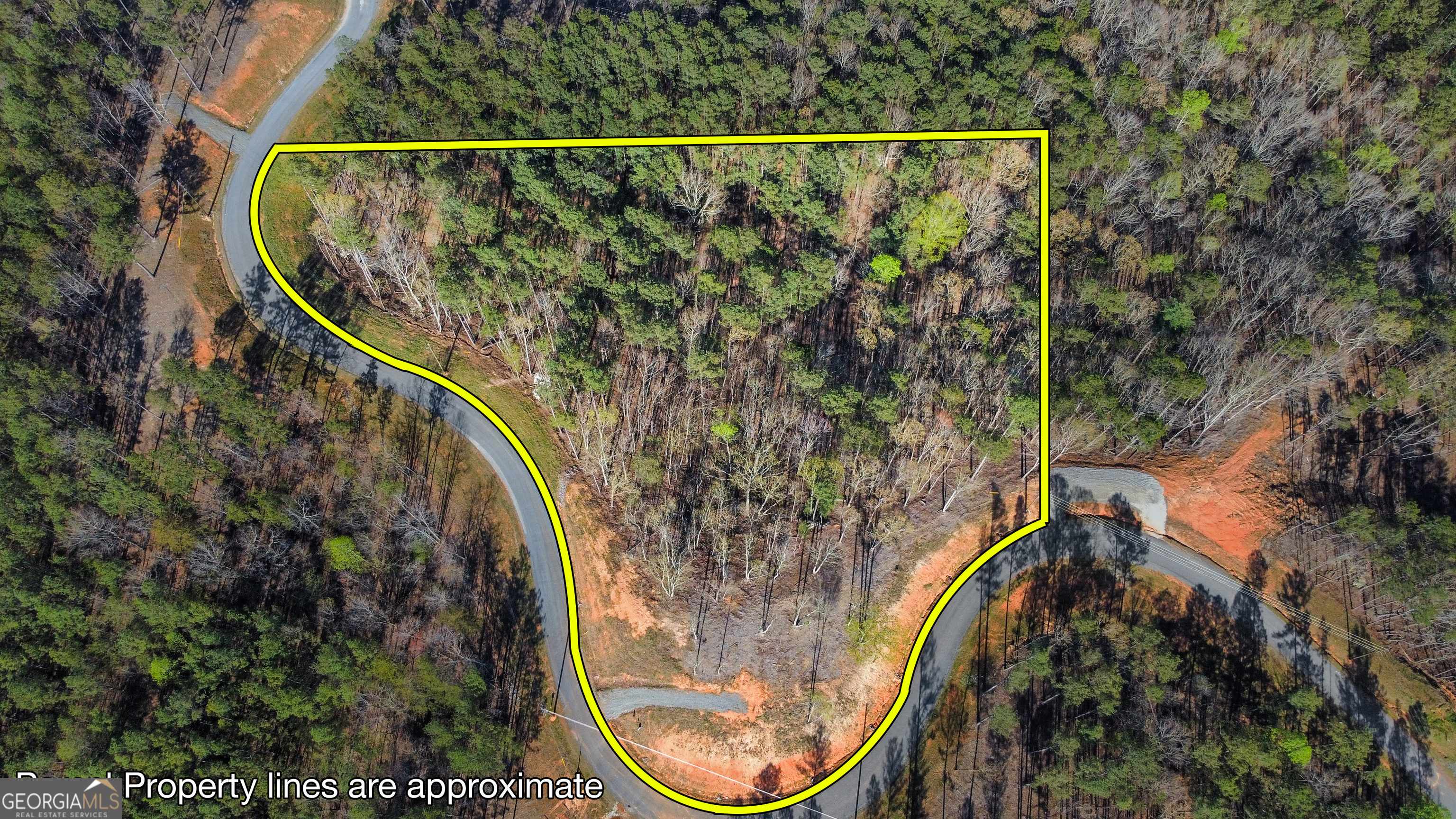 Talking Rock, GA 30175,LOT 103 Blalock Mountain Rd