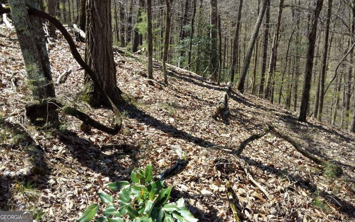 Ellijay, GA 30536,M99 Sleepy Hollow RD #M99