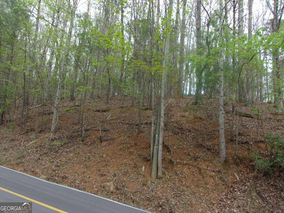 Ellijay, GA 30540,2090R Newport Dr (Lot)