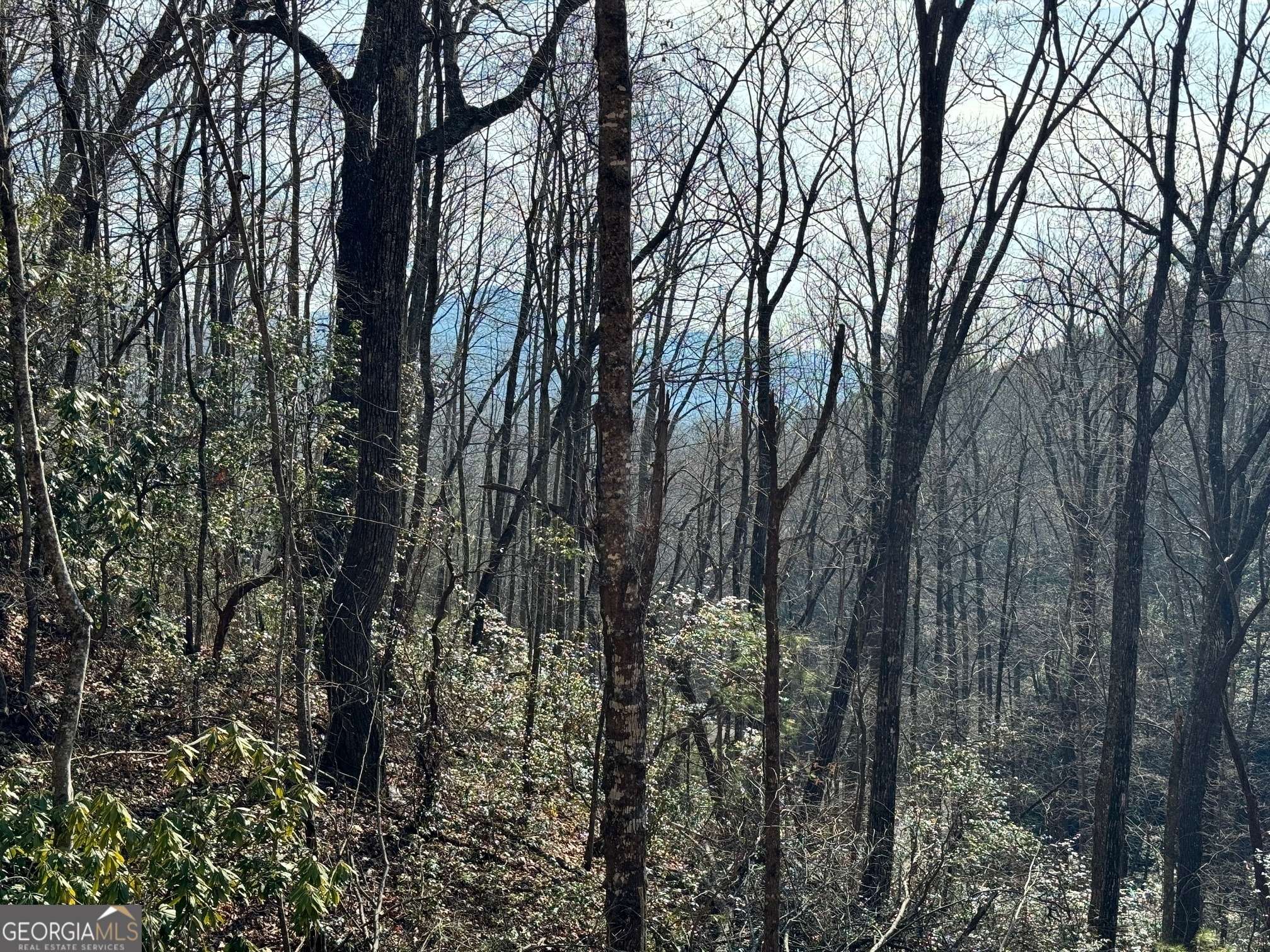 Clayton, GA 30525,824 Confederate DR