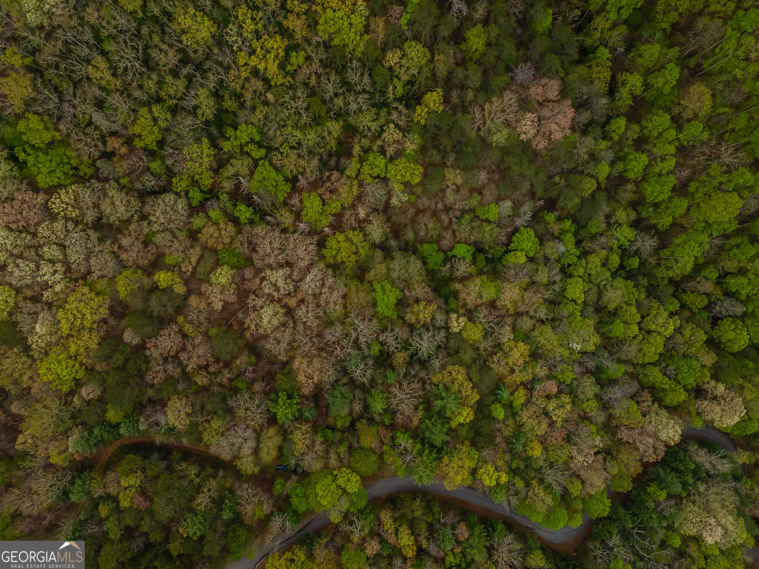 Mineral Bluff, GA 30559,LT 49 Raven Ridge CIR