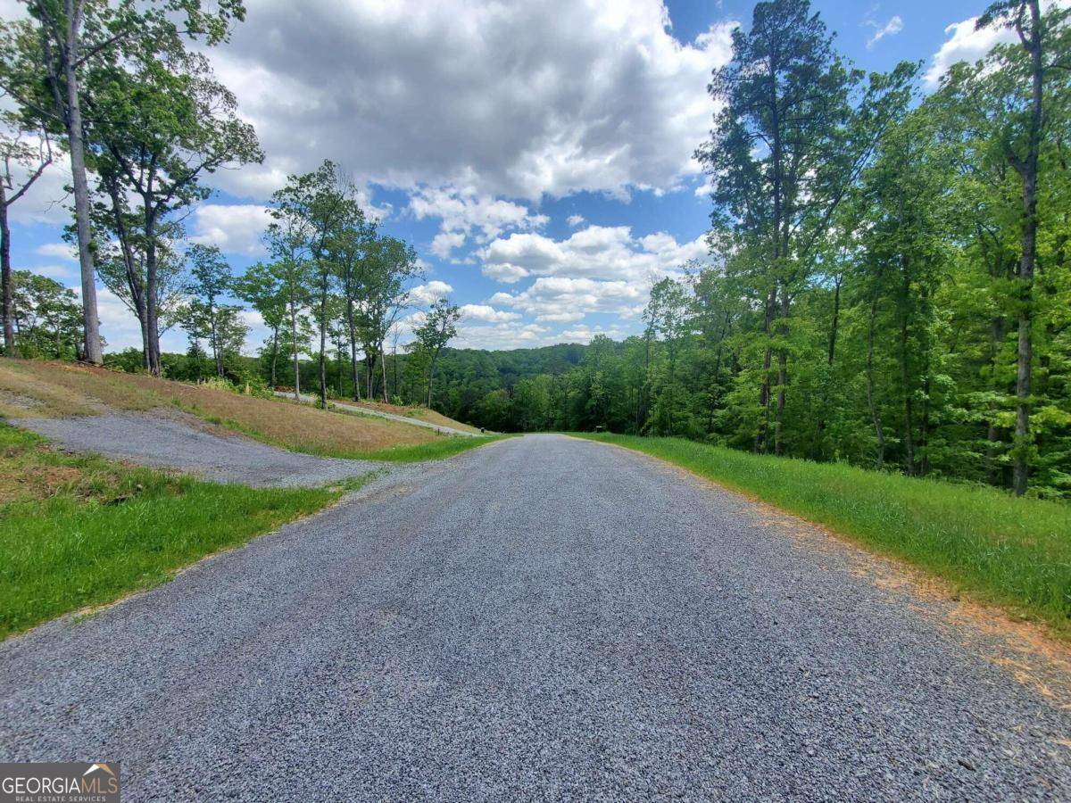 Ellijay, GA 30540,LT 78 Jakes Landing