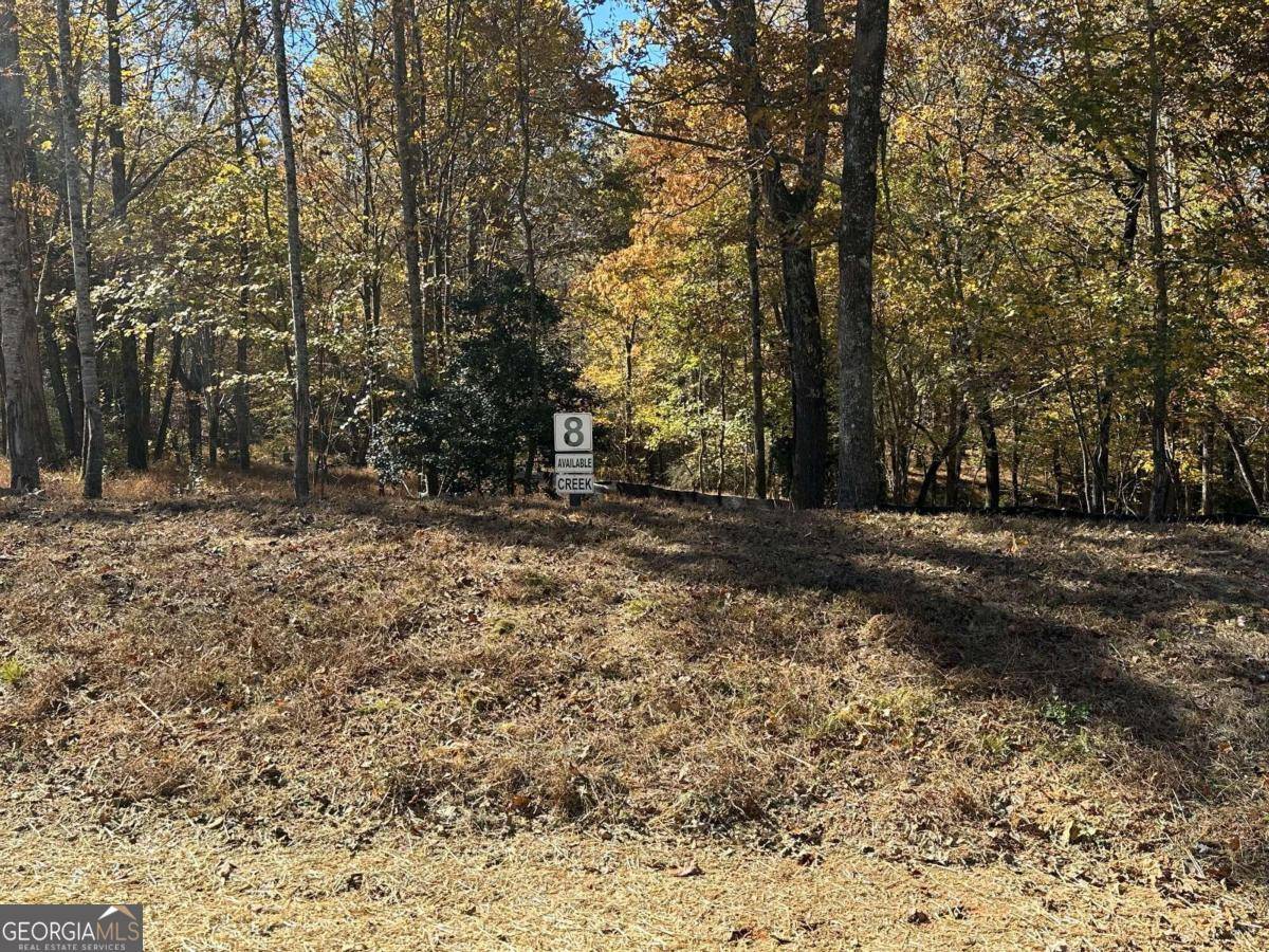 Ellijay, GA 30536,LOT 8 Clear Creek Preserve