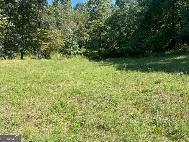 Ellijay, GA 30536,LOT 8 Clear Creek Preserve