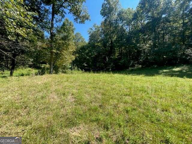 Ellijay, GA 30536,LOT 8 Clear Creek Preserve