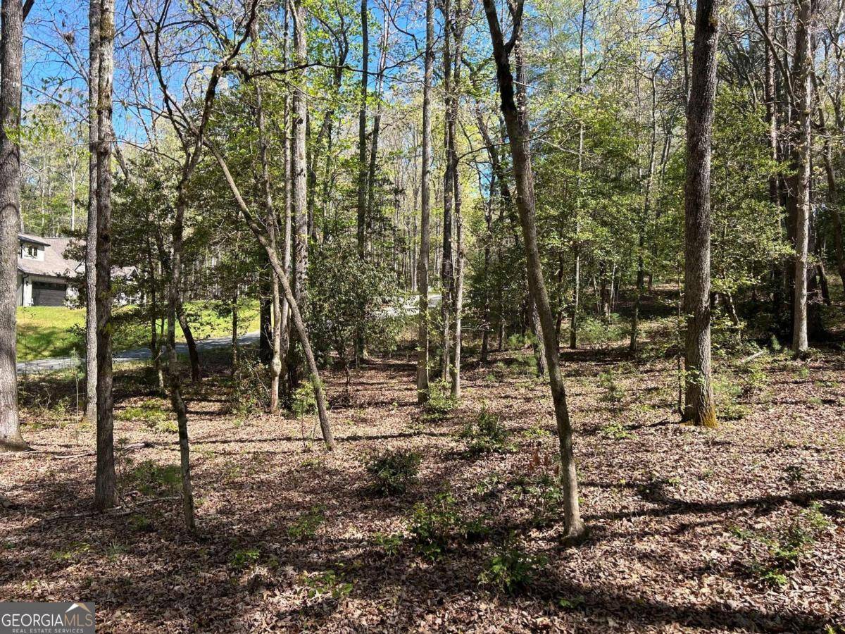 Blairsville, GA 30512,LOT 16 Fiddlers