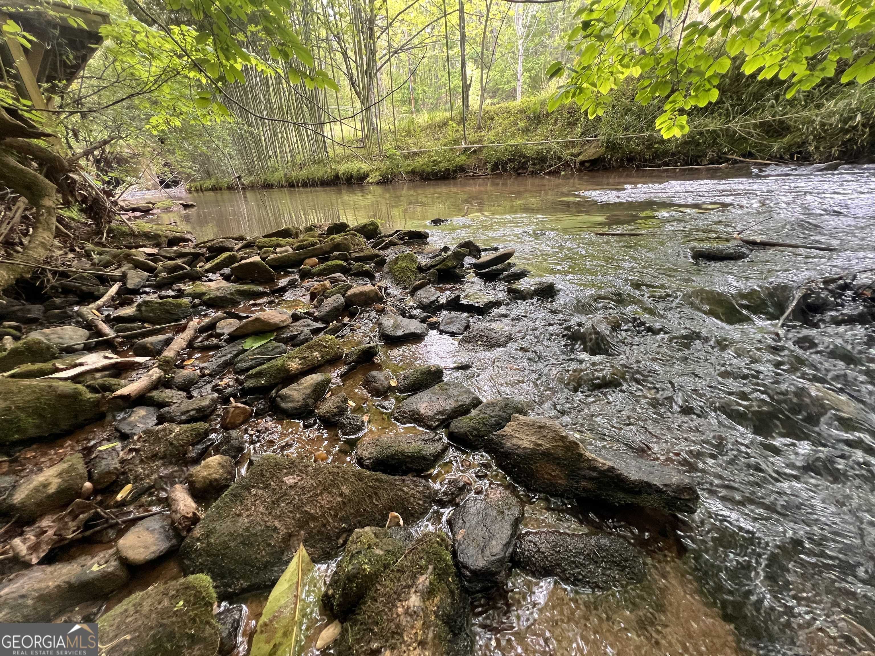 Cleveland, GA 30528,5351 Duncan Bridge RD